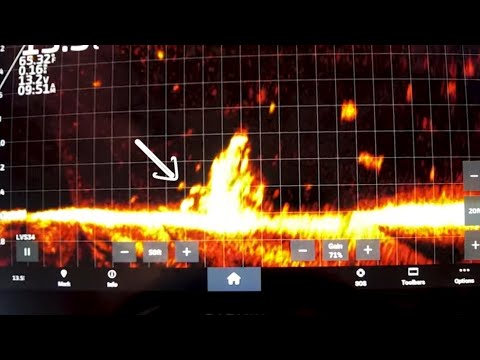 Видео: Вот где можно поймать краппи на озере Вайс