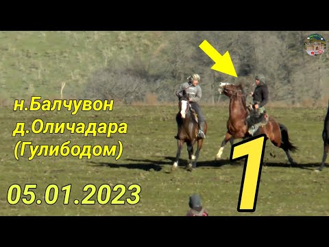 Видео: Бузкаши дар н Балчувон д Оличадара (Гули Бодом) Кисми 1
