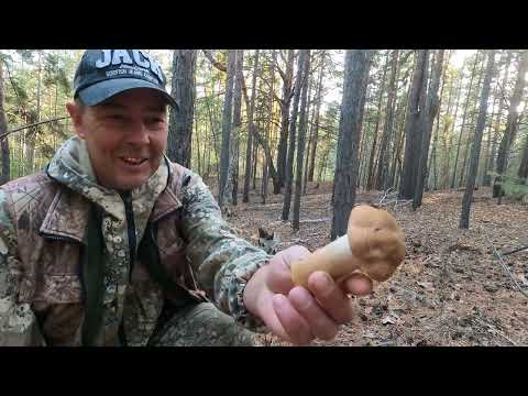 Видео: Один УДАЧНЫЙ  осенний  день. Так надо ездить на Природу.