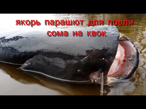 Видео: Якорь парашют для ловли сома на квок !!!