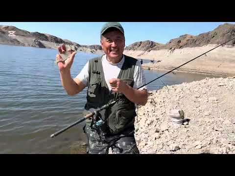 Видео: Рыбалка на Куртах 20.09.2025 вобла,лещ #2025 #рыбалка #fishing #рекомендации #топ #казахстан #курты 