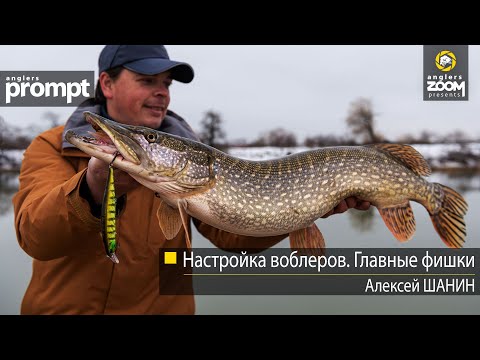Видео: Настройка воблеров. Главные фишки. Алексей Шанин. Anglers Prompt