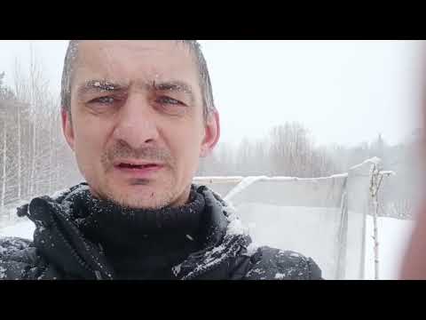 Видео: Начинающий лучник 4 . Стрельба в мятежном посёлке.