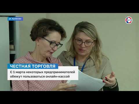 Видео: Часть севастопольских предпринимателей обяжут пользоваться одной кассой
