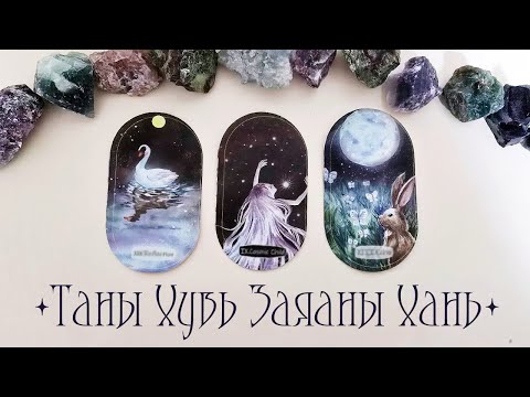 Видео: [Таро] Заяны Ханийн Талаар Бүх Мэдээлэл!💖💍🔔(Цаглашгүй + Э.Ш. + Нэмэлт)