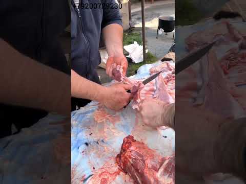 Видео: Тест ножа от Горшкова Андрея из стали BOHLER S390 