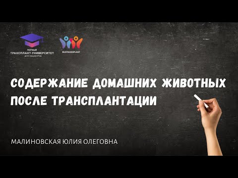 Видео: Содержание домашних животных после трансплантации. Малиновская Ю.О.