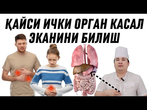 Видео: ҚАЕРИНГИЗ ОҒРИСА ҚАЙСИ ИЧКИ АЪЗО КАСАЛ ЭКАНИНИ СОҲАСИДАН БИЛИШ БЕЛГИЛАРИ ҲАҚИДА ДОКТОР ИСЧАНОВ