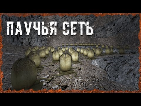 Видео: Паучья сеть S.T.A.L.K.E.R. ОП-2.2 Народная Солянка