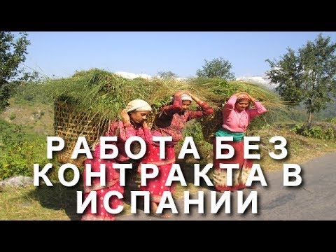 Видео: Работа в Испании без контракта