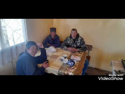 Видео: 4 мая 2025 г.