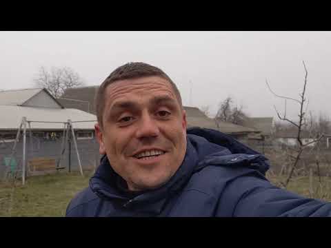 Видео: Як обрізати правильно Грушу,щоб була гарна крона і врожай