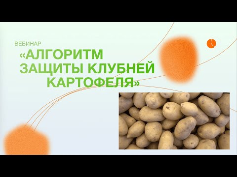Видео: Вебинар: «Алгоритм защиты клубней картофеля»