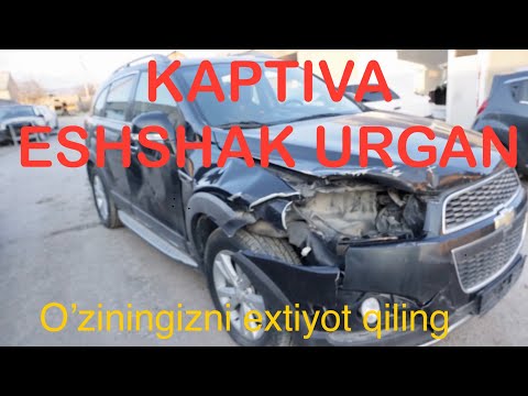 Видео: ЭШШАК ТЕПГАН КАПТИВА (ХАЗИЛ)😳😳😁