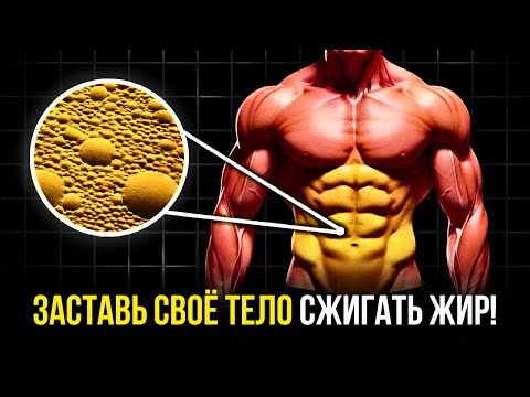 Видео: БОЛЬШЕ 50? ЭТИ 10 ВЕЩЕЙ ЗАСТАВЯТ ТВОЁ ТЕЛО СЖИГАТЬ ЖИР!