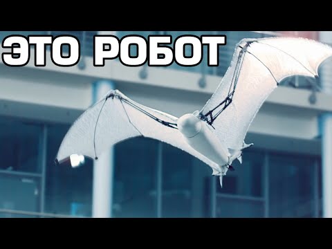 Видео: 10 Самых удивительных роботов в мире