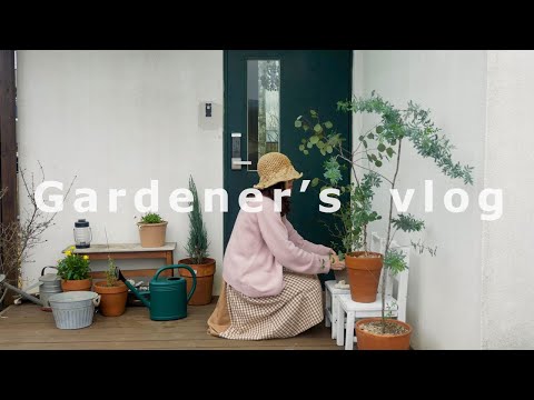 Видео: Весеннее садоводство для летнего и осеннего сада 🌿 Я супер занят! 🐝