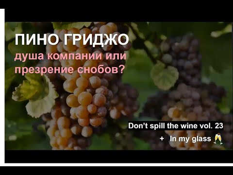 Видео: Пино Гриджо - душа компании или презрение снобов?