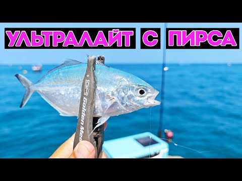Видео: СПИННИНГ В ДУГУ ОТ ЭТИХ ПОКЛЕВОК. МОРСКАЯ РЫБАЛКА НА СИЛИКОНОВЫЕ ПРИМАНКИ С ПИРСА