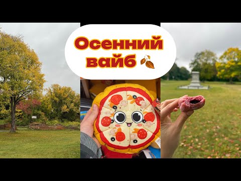 Видео: Vlog:Что купила на осень? Какие витамины пью💊