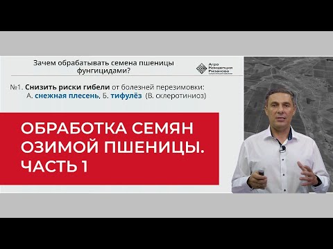 Видео: Обработка семян озимой пшеницы. Зачем делать? Часть 1 | Агроном | Сергий Ризанов