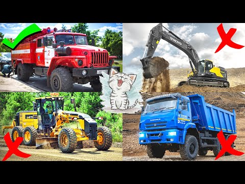 Видео: Викторина про машинки: логика для детей