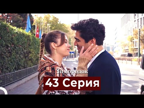 Видео: Зимородок 43 Cерия (Русский дубляж)