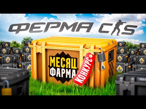 Видео: ФЕРМА КС2. СКОЛЬКО Я ЗАРАБОТАЛ ЗА МЕСЯЦ ФАРМА? + КОНКУРС