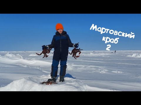 Видео: Крабалка в Охотском море