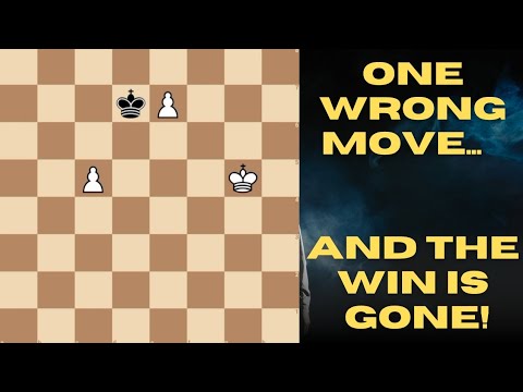 Видео: Сможете ли вы найти единственный ход, который выиграет в этом эндшпиле?

#Шахматы #ИсследованиеЭн...