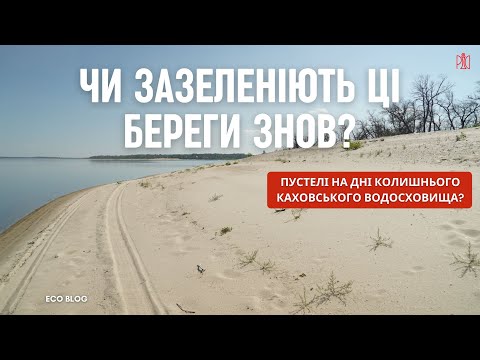 Видео: Пустелі на дні колишнього Каховського водосховища — чи це можливо?