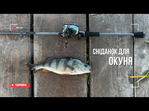 Видео: СНІДАНОК ДЛЯ ОКУНЯ!