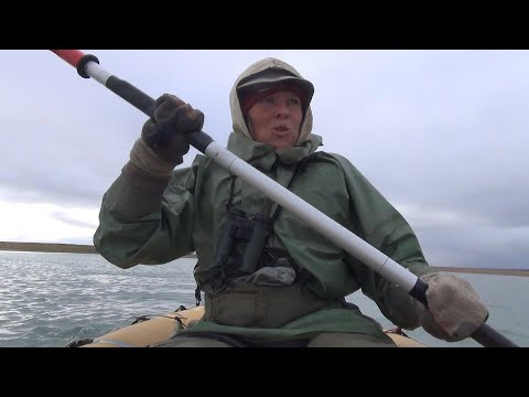 Видео: Сквозь Таймыр на мыс Челюскин. Часть 11. Сплав по реке Гольцовой.