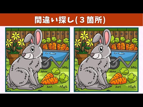 Видео: Найдите 3 отличия | Иллюстрация Версия #970