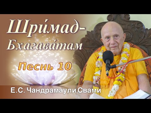 Видео: 7.11.2024 ||Шримад Бхагаватам 10.80.29 || Е.С. Чандрамаули Свами || HG Chandramauli Swami