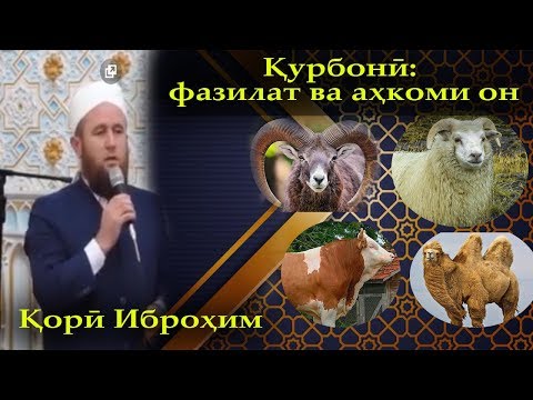 Видео: Кори Иброхим курбони: фазилат ва ахкоми он