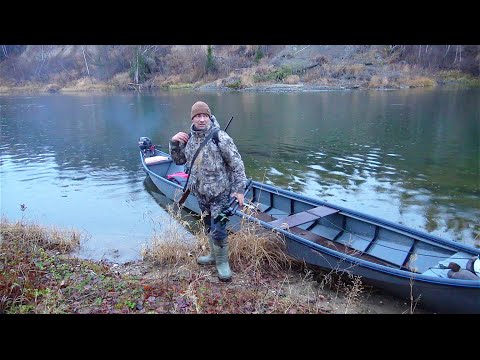 Видео: УБЕРИТЕ ДЕТЕЙ ОТ ЭКРАНА / ЗВЕРЯ РАЗОРВАЛО. ОХОТА НА РАЗНОСЧИКА БЕШЕНСТВА С КАРАБИНОМ ЛОСЬ 145.