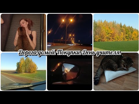 Видео: Дорога домой 🏡 Покупки🛒 День учителя👨‍🏫
