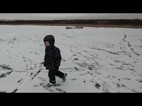 Видео: Воркутинская осень | 27 октября 2024 г.