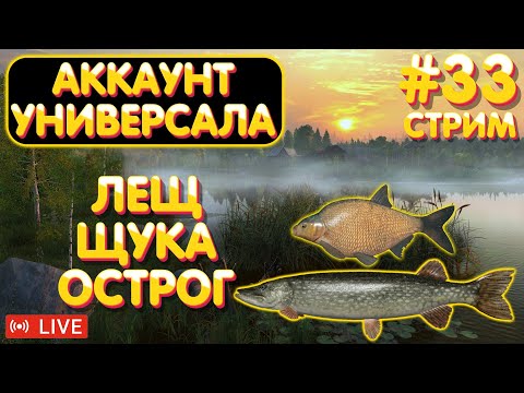 Видео: Лещ Щука - Острог 🔥 Аккаунт универсала #33 стрим 🎁 Бокс с премом на TROVO 🎁 Русская Рыбалка 4 #1111