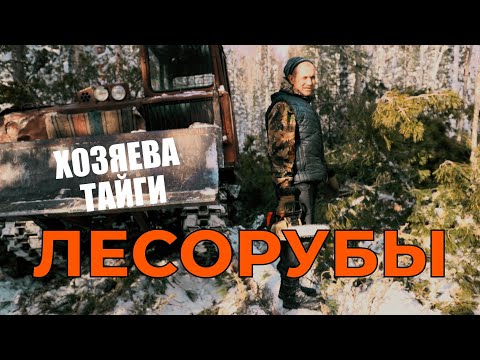 Видео: СИБИРСКИЕ ЛЕСОРУБЫ. Хозяева тайги