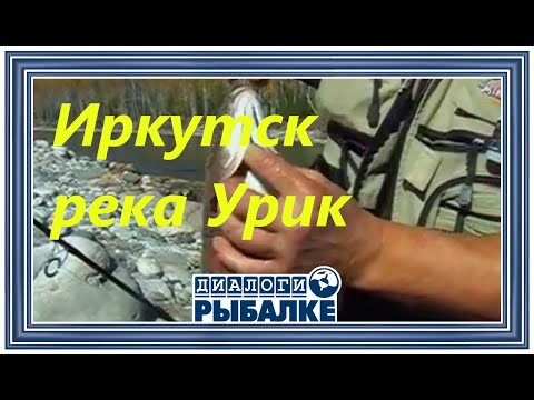 Видео: Диалоги о рыбалке -  079 / Иркутск. Река Урик