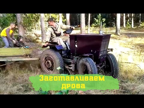Видео: Самодельный трактор! Заготавливаем ДРОВА / Жизнь в деревне