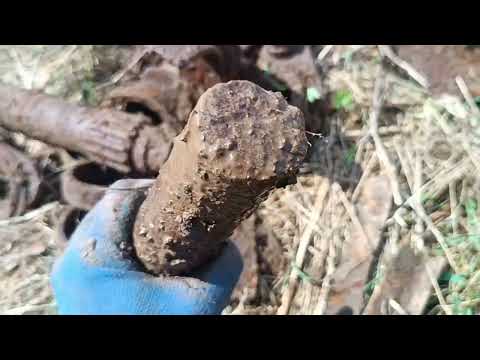 Видео: поиск полевого стана , железо есть !