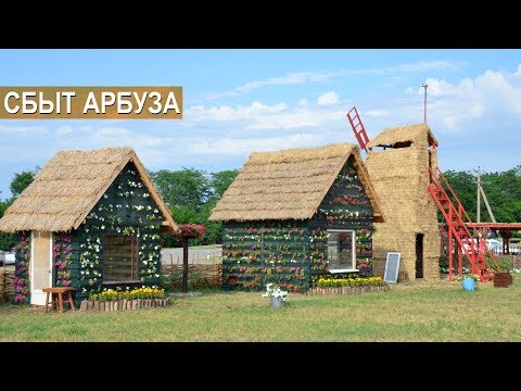 Видео: Арбузный бизнес. Сбыт арбуза. Бахча Пономарево