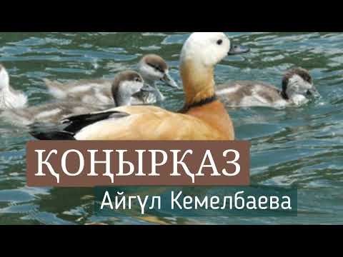 Видео: Аудио кітап.  Қоңырқаз.  Айгүл Кемелбаева. #аудиокитап #аудиожазба #конырказ #айгулкемелбаева