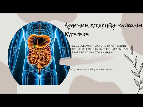 Видео: Адамның асқорыту жүйесінің құрылысы.  8-сынып. 4-Бөлім. Қоректену