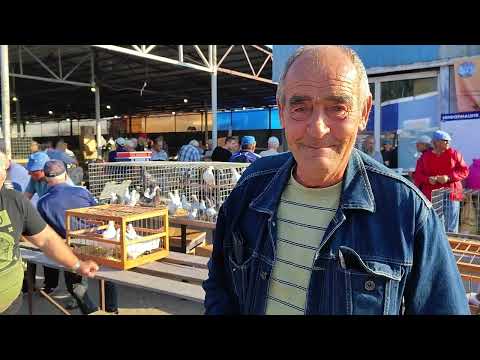 Видео: 28.07.2024г ст. Бронницы ч. 2