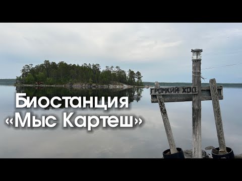 Видео: Влог | ББС ЗИН РАН «Мыс Картеш»