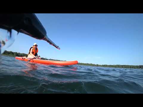 Видео: Подводная охота в Беларуси и день промахов 2025 ... #короткометражныйфильм #документальныйфильм 